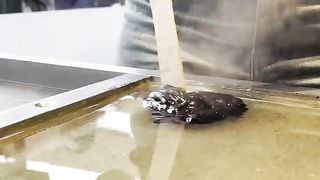 Quick & Easy Candy