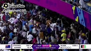 Maxwell one handed victory against Afghanistan