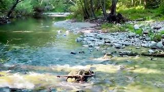 sound effect relaxing - Rushing Creek in Big Sur | Relax with Water Sounds