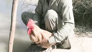 Funny vedio 71