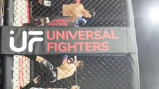Mma king