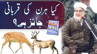 کیا ہرن کی قربانی جاٸز ہے