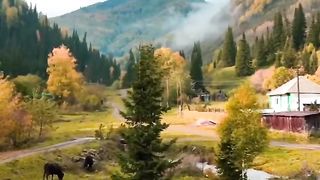 Amazing video 129