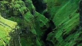 Amazing video 131