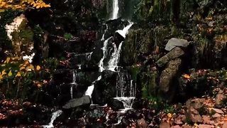 Natural video 120