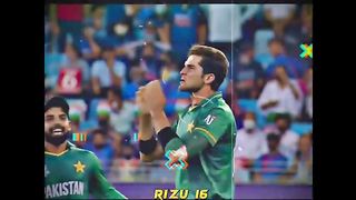 Pakistan Win World Cup Whatsapp Status