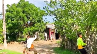 Dog prank funny video