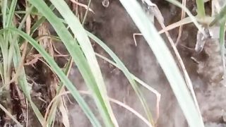 Water flowing 2