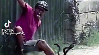 Prank Videos????????????