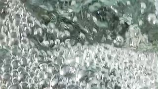Water Bubbles