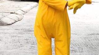 Dancing Bear
