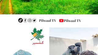 Bewafa Bhai Funny  #bewafa #comedy #viral #shorts #youtubeshorts #pilwaaltv