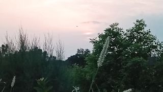 Evening Time 2