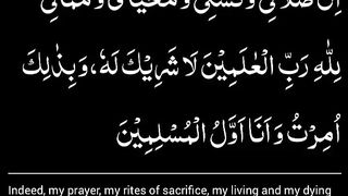 اسلامی معلومات 651