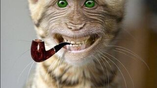 Funny
