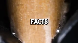Facts that could save your life???? 2