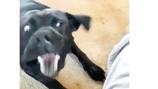 water bite lol