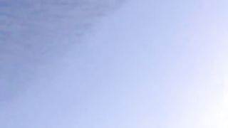 Kumpulan burung????