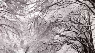 Nature makes you feel relax
