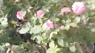 ماشاءاللہ پیاری سی ویڈیو دیکھیں