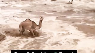 Saudi Arabia Flood