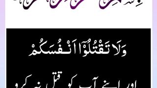 Quran , Al Quran Surah 04 Ayat 29 #viral #shorts #quran