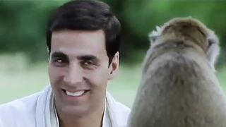 Funny clip 96