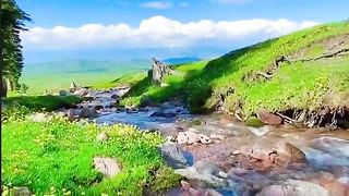 Amazing video 132