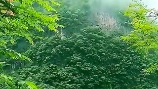 Amazing video 134