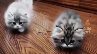 Lucu imut ngemesin