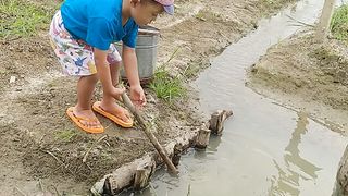 Berkebun 4