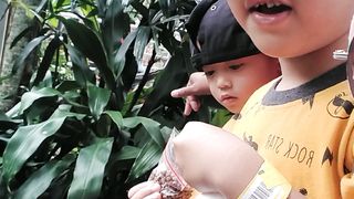 Taman hewan