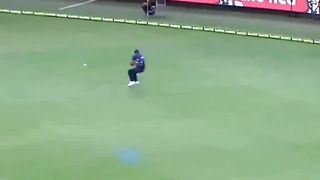 Cricket top 10funny movmnt