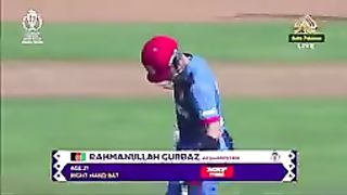 Cricket worldcup 2023