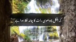 Husn e Mustafa SAW