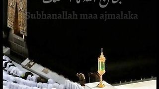 Kithey meher ali kithey tere sana