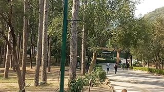 Lovely place in islambad daman koh