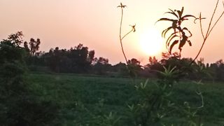 An evening view (Sun Setting)