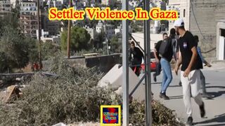 Increasing settler attacks condemned by Israel's allies