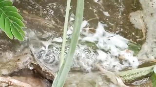 Water flowing and bubbles