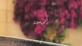 Molana Tariq Jameel Poetry
