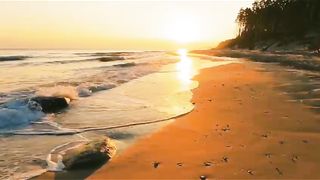 "Dusk's Embrace: Capturing the Mesmerizing Beauty of a Sunset at the Beach ????✨