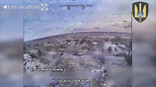 Ukraine Russia War | Ukrainian "Pegas" Drone Hits Stopped Russian Tank | RCF