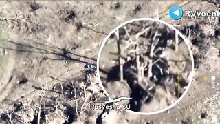 Russia Ukraine War | Russian FPV Drone Attacks AFU Personnel in Trench | 291st Regiment | RCF