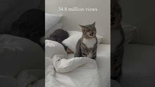 Marley’s CRAZIEST wake ups