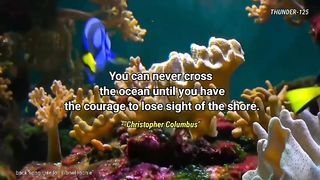 3 motivational words from famous people