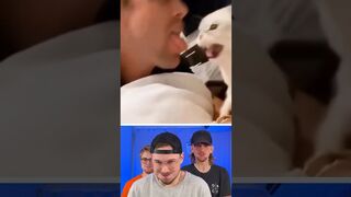 Funny animals ???? 5
