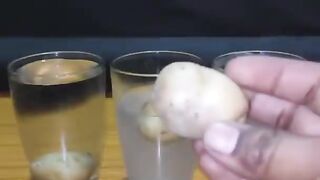 Amazing experiment reverse video
