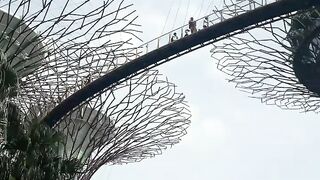 The beauty of Singapore