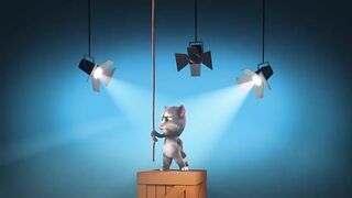 Funny cat